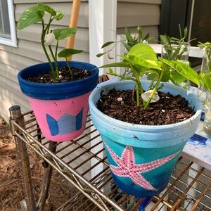 ✨ Custom Hand-Painted Clay Pot | Made-to-Order Personalized Planter